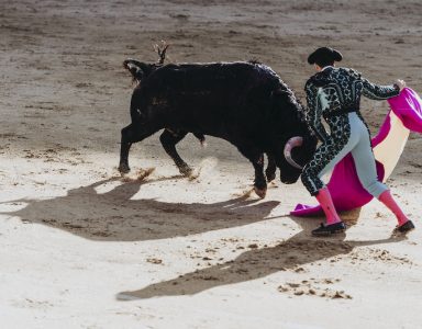 Spanish bullfight. The enraged bull attacks the bullfighter
